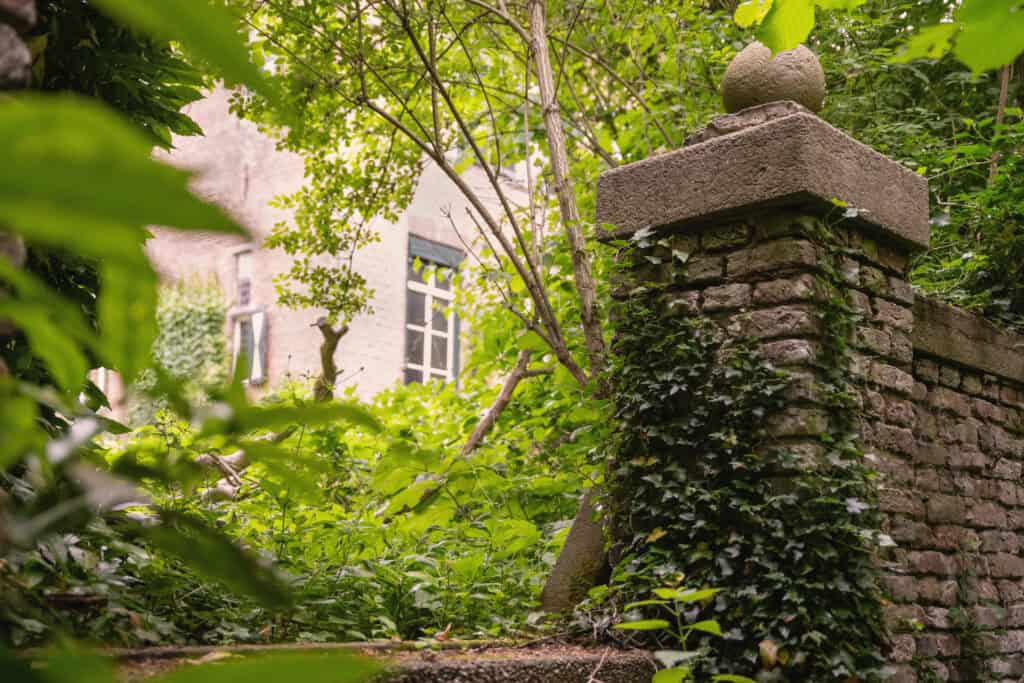 Oude muur met klimop bij stenen gebouw.